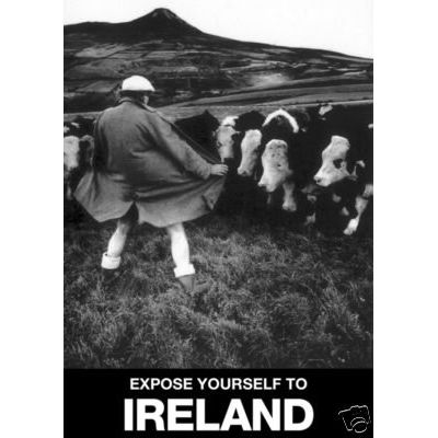 Expose yourself to Ireland Fridge Magnet