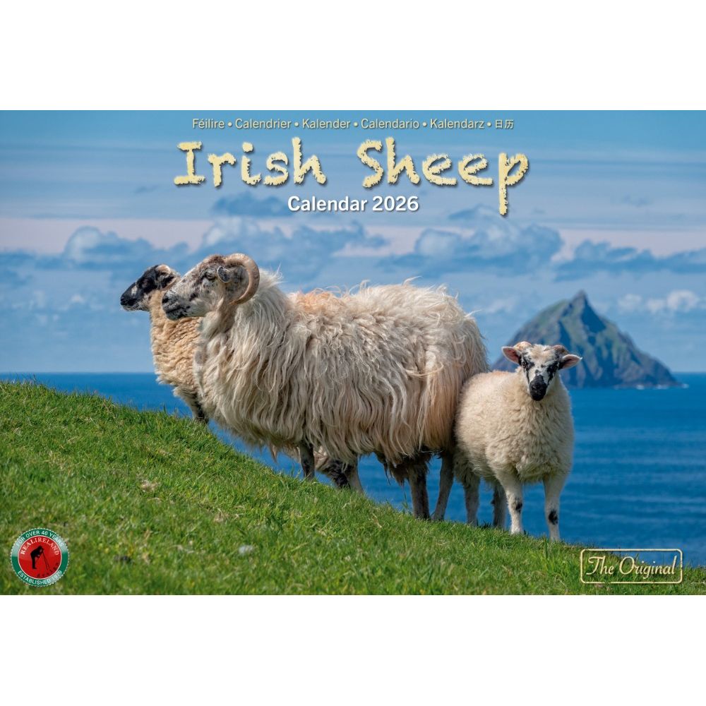 Irish Sheep A4 Calendar 2026