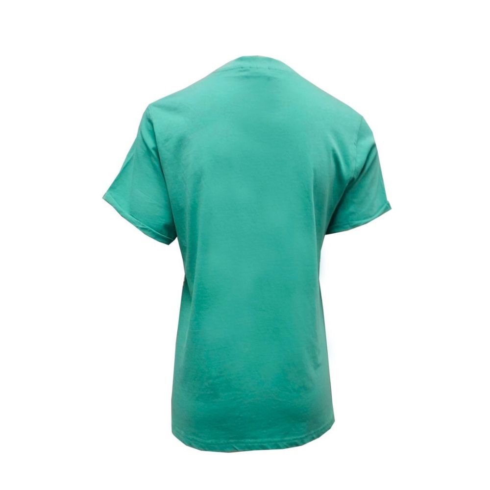 Emerald Isle Ireland Ladies T-Shirt