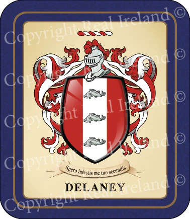 Delaney Heraldic Coasters 2 Pack