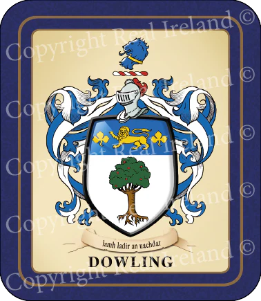Dowling Heraldic Coasters 2 Pack