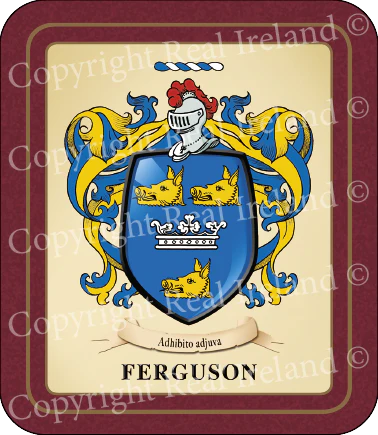 Ferguson Heraldic Coasters 2 Pack