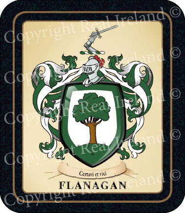 Flanagan Heraldic Coasters 2 Pack
