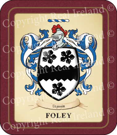 Foley Heraldic Coasters 2 Pack