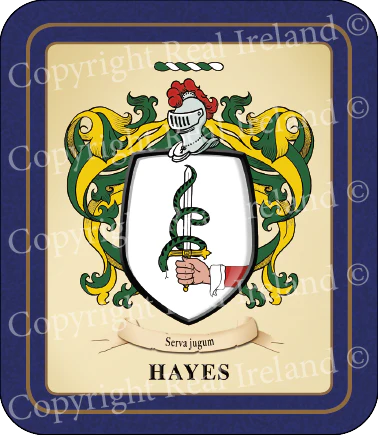 Hayes Heraldic Coasters 2 Pack