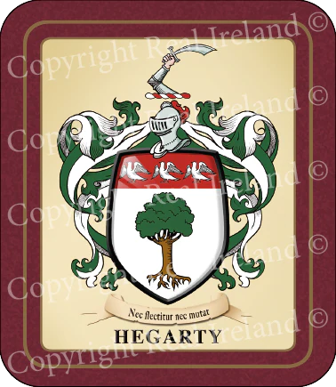 Hegarty Heraldic Coasters 2 Pack