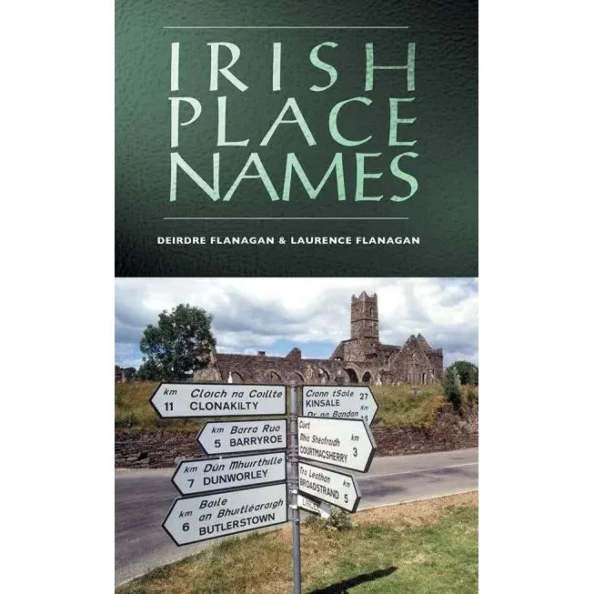 Irish Place Names Book