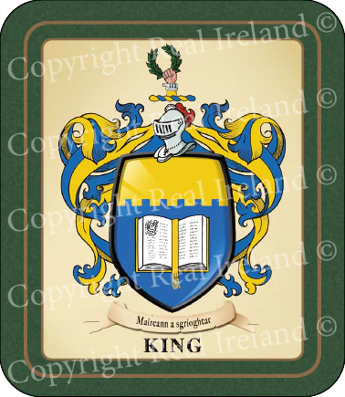 King Heraldic Coasters 2 Pack
