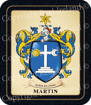 Martin Heraldic Coasters 2 Pack