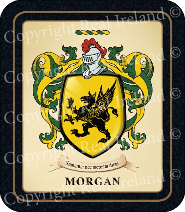 Morgan Heraldic Coasters 2 Pack