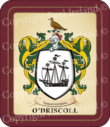 O'Driscoll Heraldic Coasters 2 Pack
