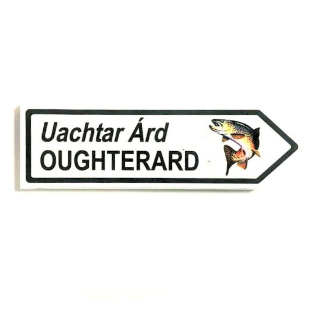 Oughterard Signpost Fridge Magnet with Fish