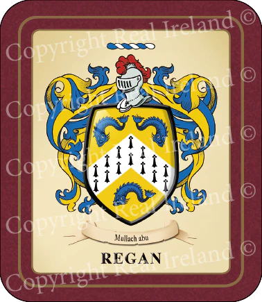 Regan Heraldic Coasters 2 Pack