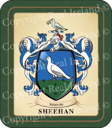 Sheehan Heraldic Coasters 2 Pack