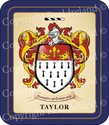 Taylor Heraldic Coasters 2 Pack