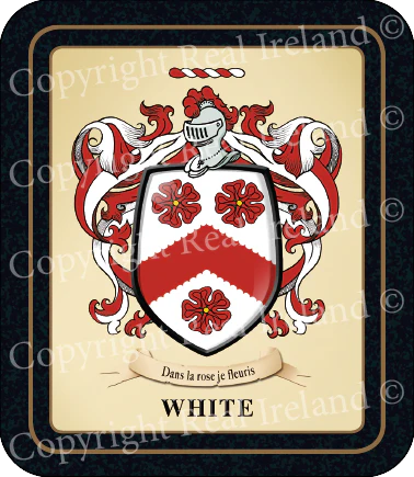 White Heraldic Coasters 2 Pack