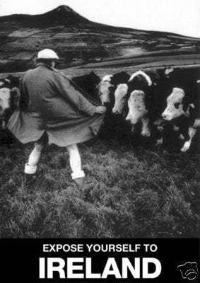 Expose yourself to Ireland Fridge Magnet