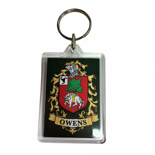 Owens Surname Family Crest Keyring