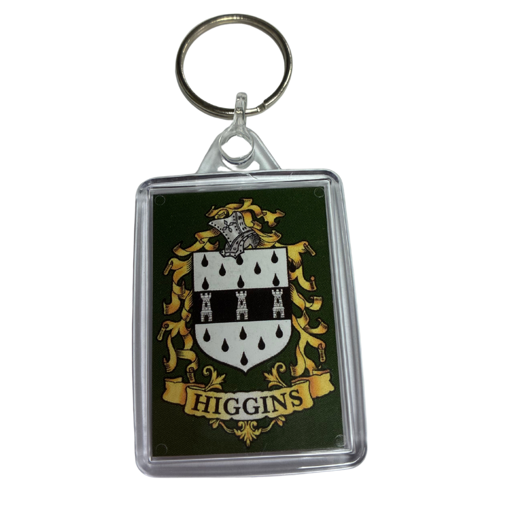 Higgins Surname Family Crest Keyring