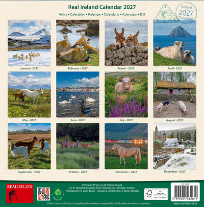 Irish Creatures Great and Small Calendar 2027