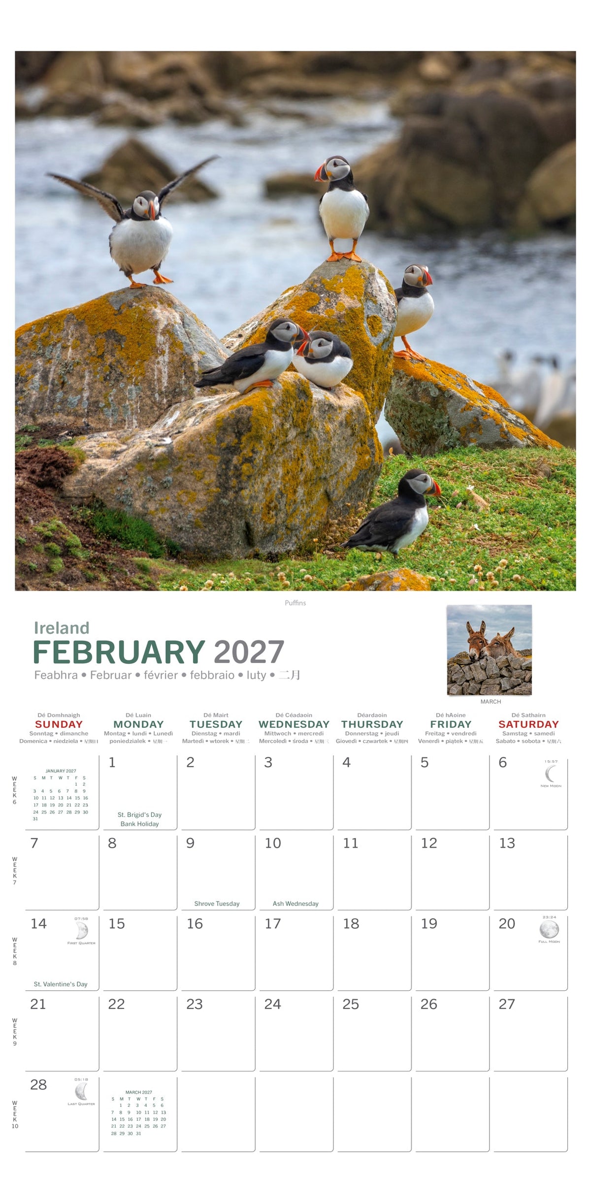 Irish Creatures Great and Small Calendar 2027