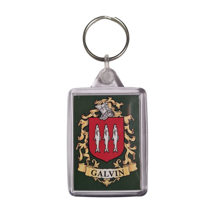 Galvin Surname Family Crest Keyring