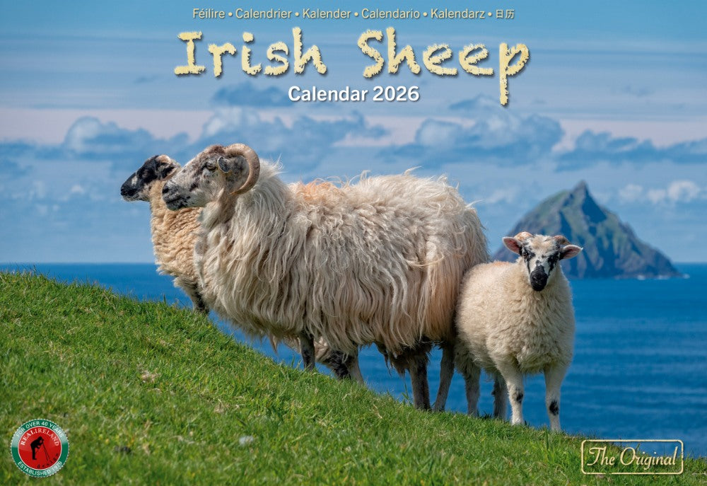Irish Sheep A4 Calendar 2026