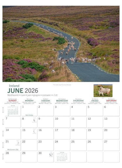 Irish Sheep A4 Calendar 2026