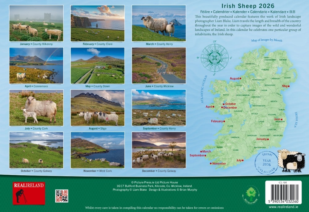 Irish Sheep A4 Calendar 2026