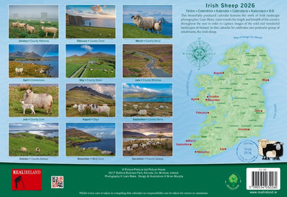 Irish Sheep A4 Calendar 2026