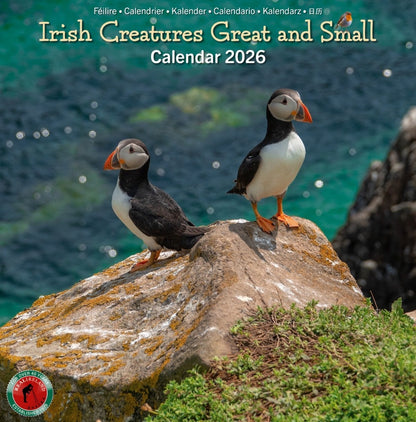 Irish Creatures Great & Small Medium Calendar 2026