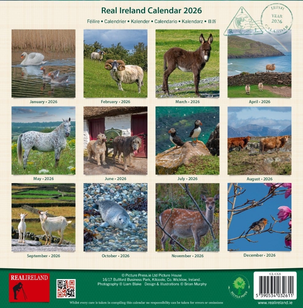 Irish Creatures Great & Small Medium Calendar 2026
