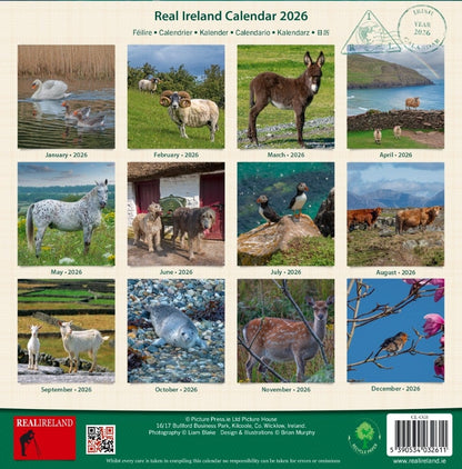Irish Creatures Great & Small Medium Calendar 2026
