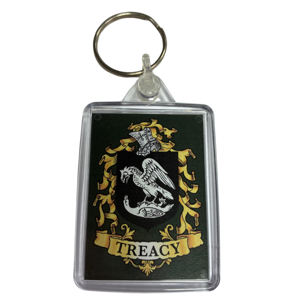 Treacy Surname Family Crest Keyring