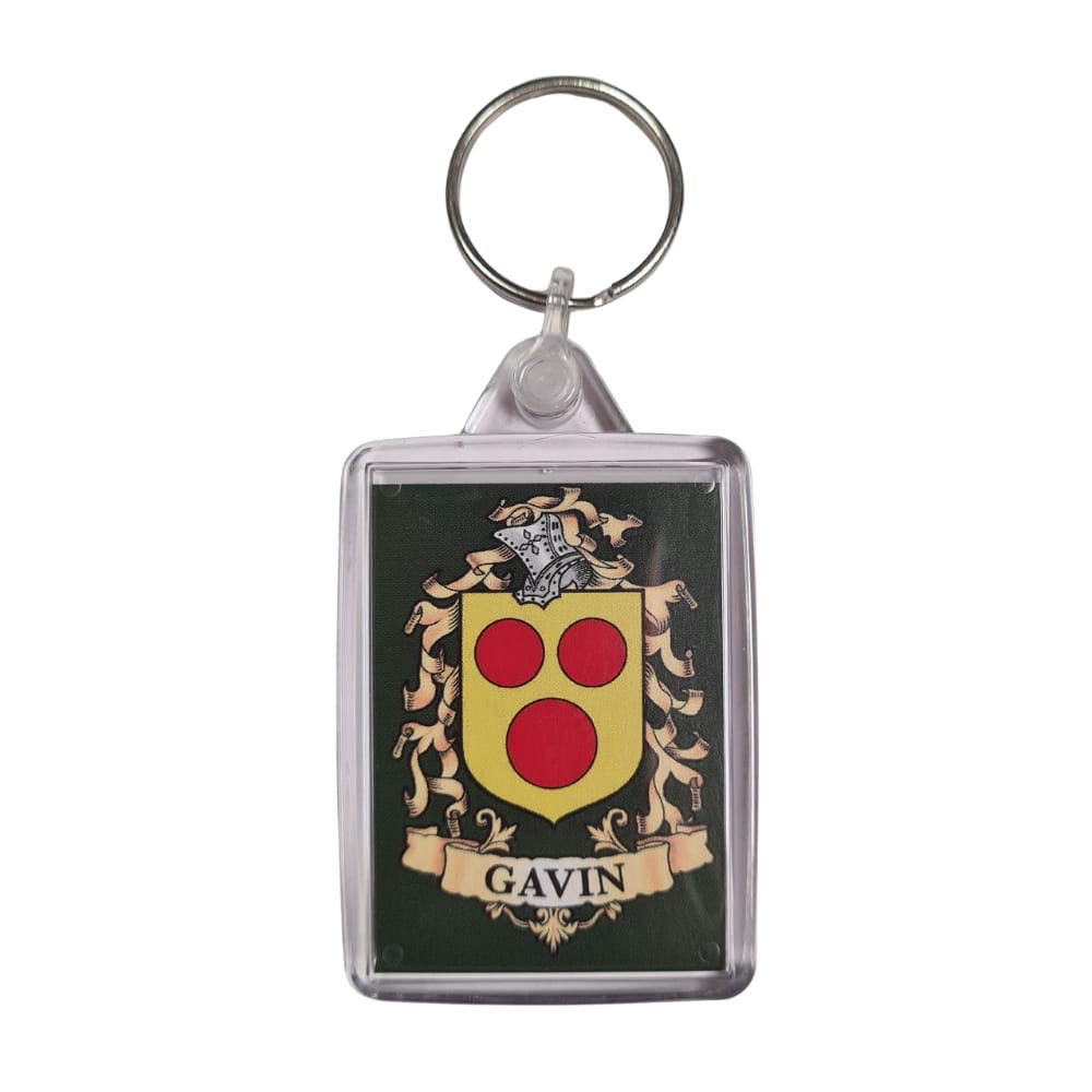 Gavin Surname Family Crest Keyring