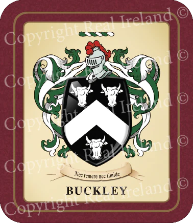 Buckley Heraldic Coasters 2 Pack
