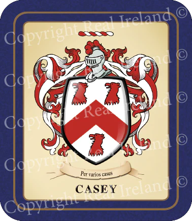 Casey Heraldic Coasters 2 Pack
