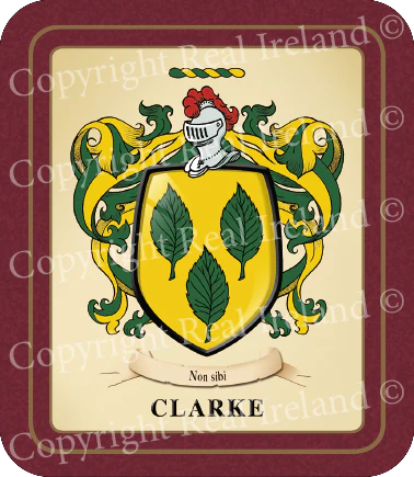 Clark Heraldic Coasters 2 Pack