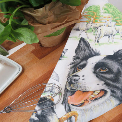 Collie Dog and Sheep Kitchen Tea Towel