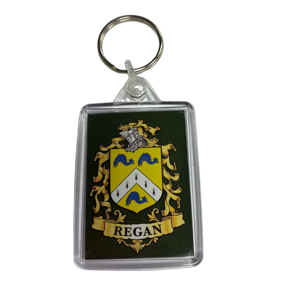Regan Surname Family Crest Keyring