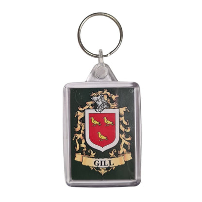 Gill Surname Family Crest Keyring