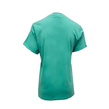 Emerald Isle Ireland Ladies T-Shirt