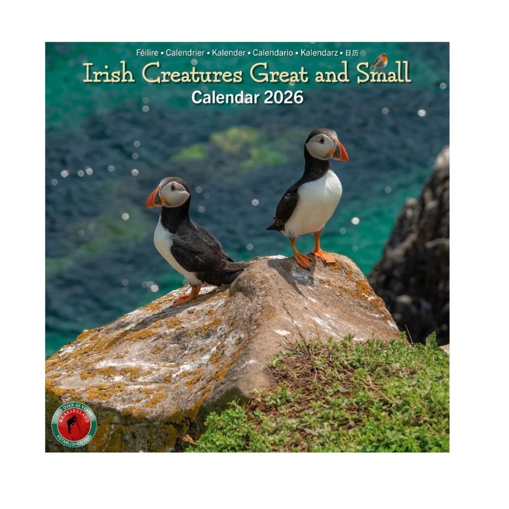Irish Creatures Great & Small Medium Calendar 2026