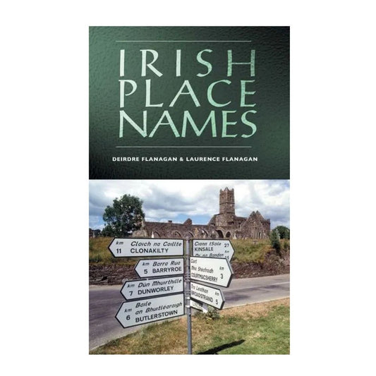Irish Place Names Book