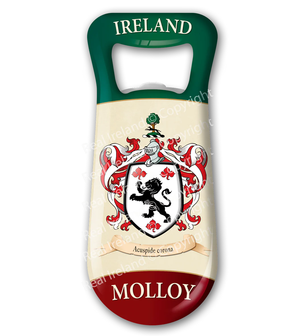 Molloy Heraldic Fridge Magnet Bottle Opener