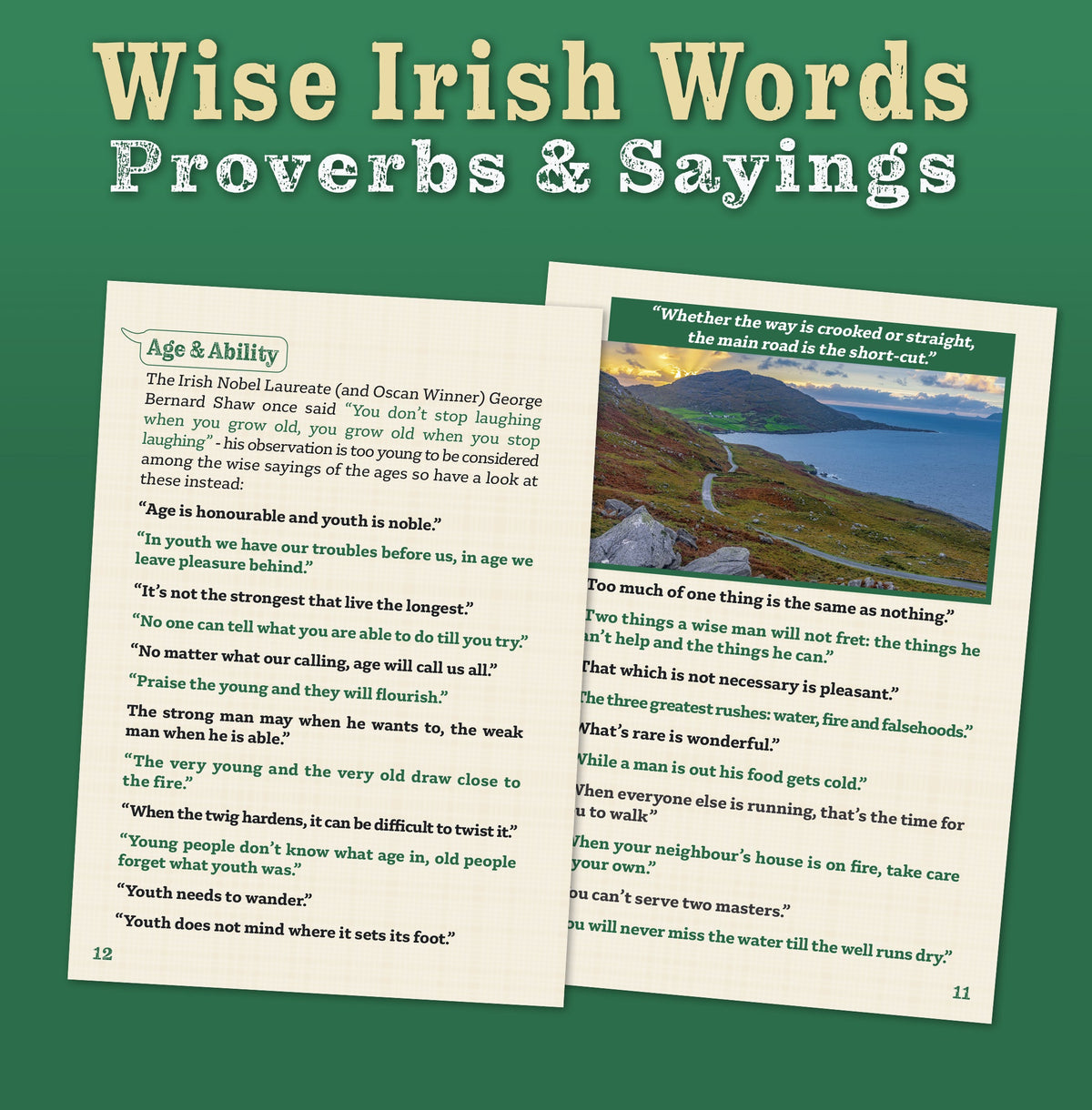 Wise Irish Words Proverbs & Sayings
