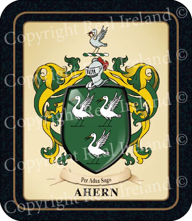 Ahern Heraldic Coaster 2 Pack