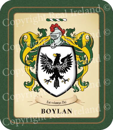 Boylan Heraldic Coasters 2 Pack