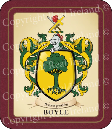 Boyle Heraldic Coasters 2 Pack