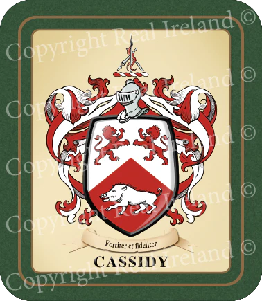 Cassidy Heraldic Coasters 2 Pack